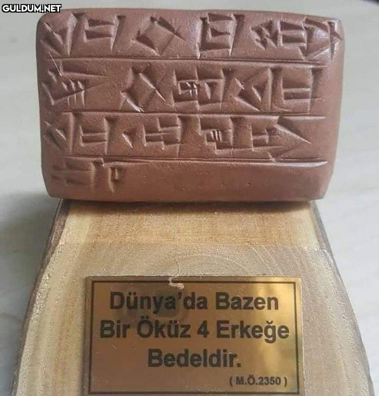 Tarihteki ilk kadın...