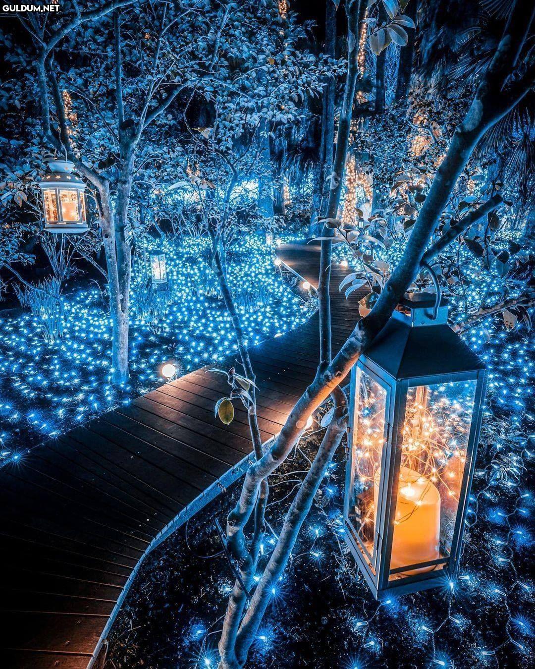 Walking through this fairy...