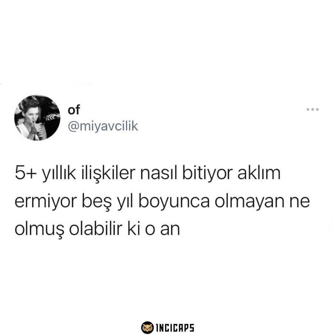 of @miyavcilik 5+ yıllık...