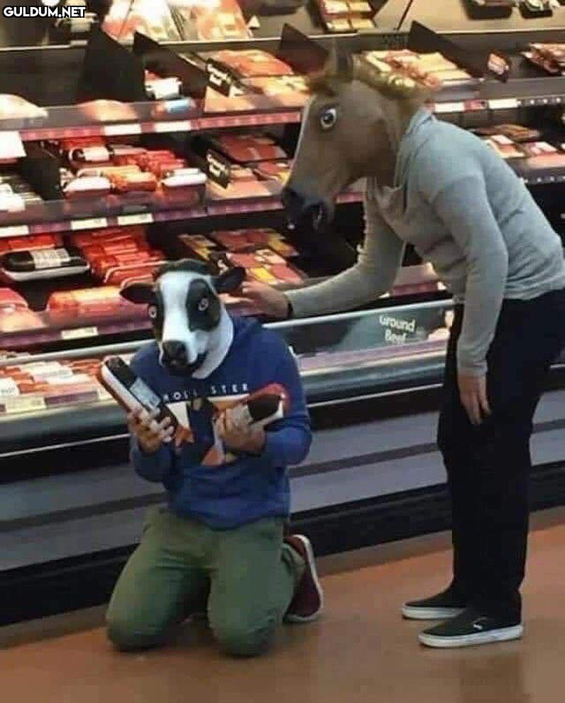 anlamsız fotoğraflar 7936 ...