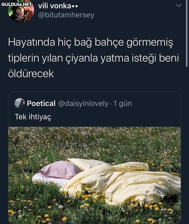 vili vonka.....