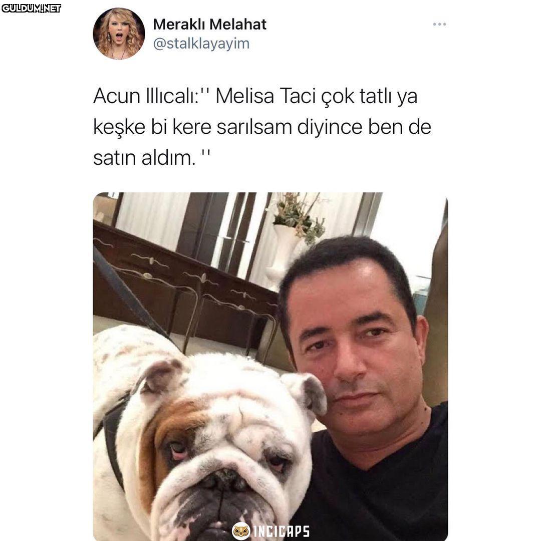 Meraklı Melahat ......