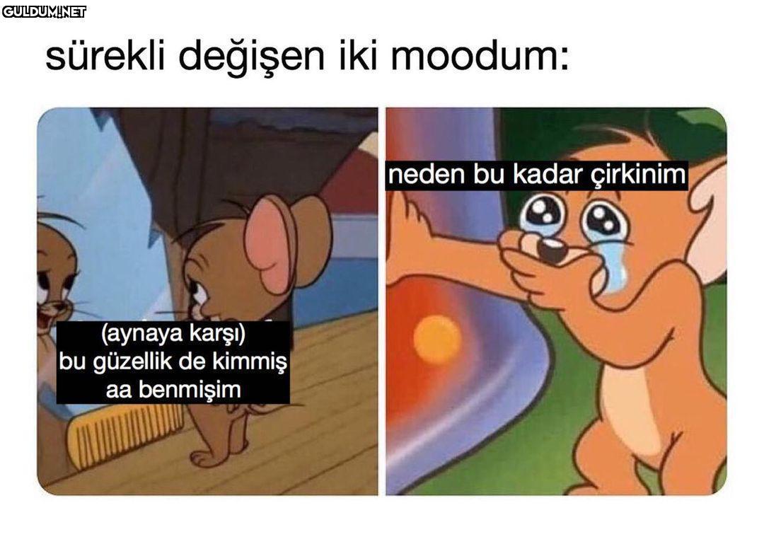 ortalama tipe sahip...