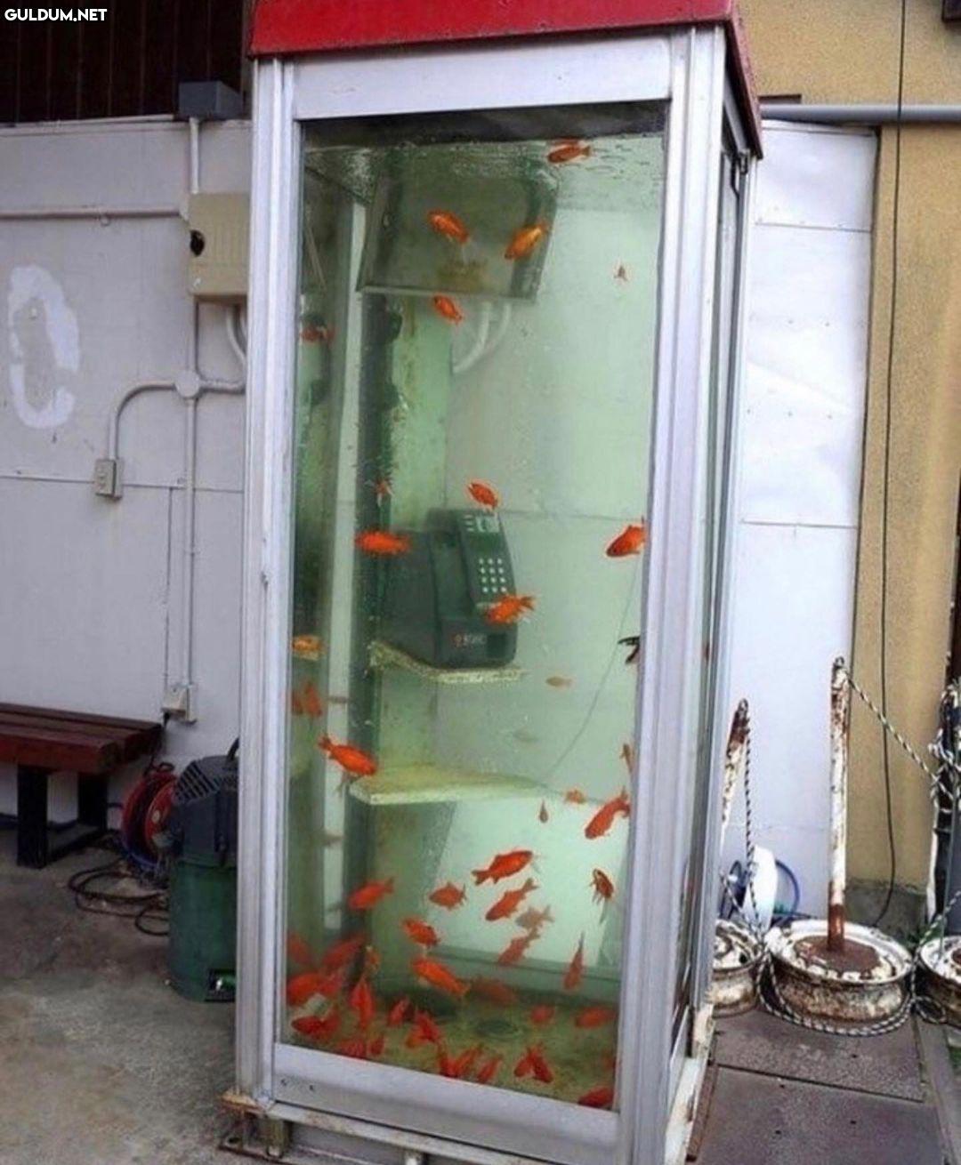 anlamsız fotoğraflar 3303 ...