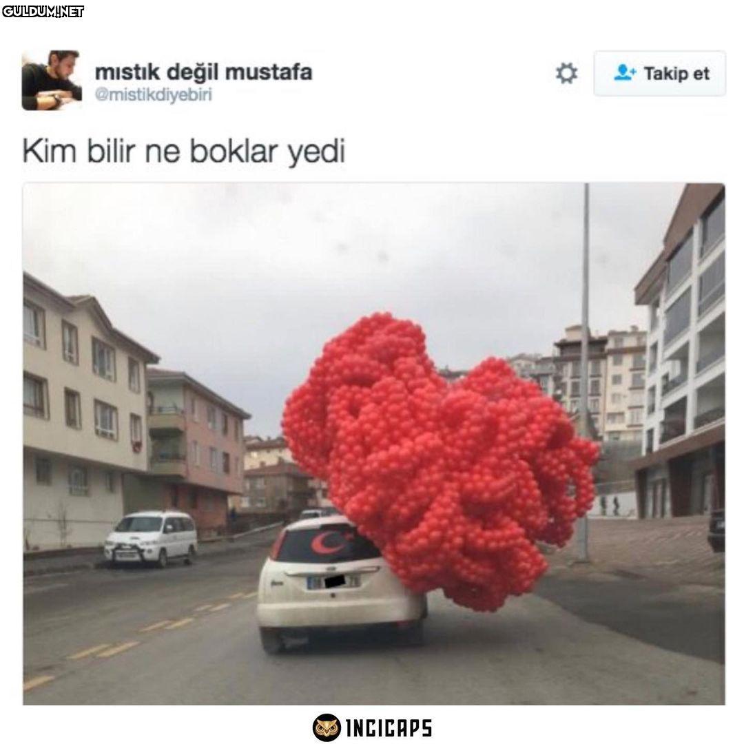 mıstık değil mustafa...