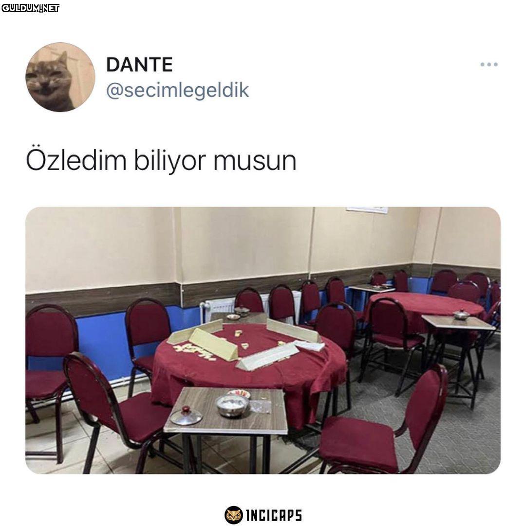 DANTE ... @secimlegeldik...