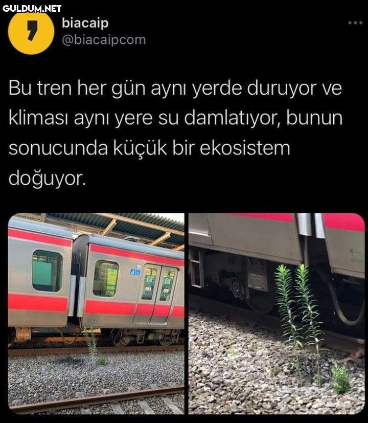 biacaip @biacaipcom Bu...