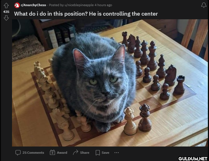 435 ♡ r/AnarchyChess....