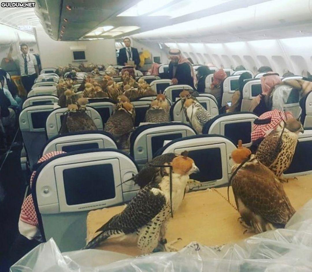 anlamsız fotoğraflar 2239  Kaynak