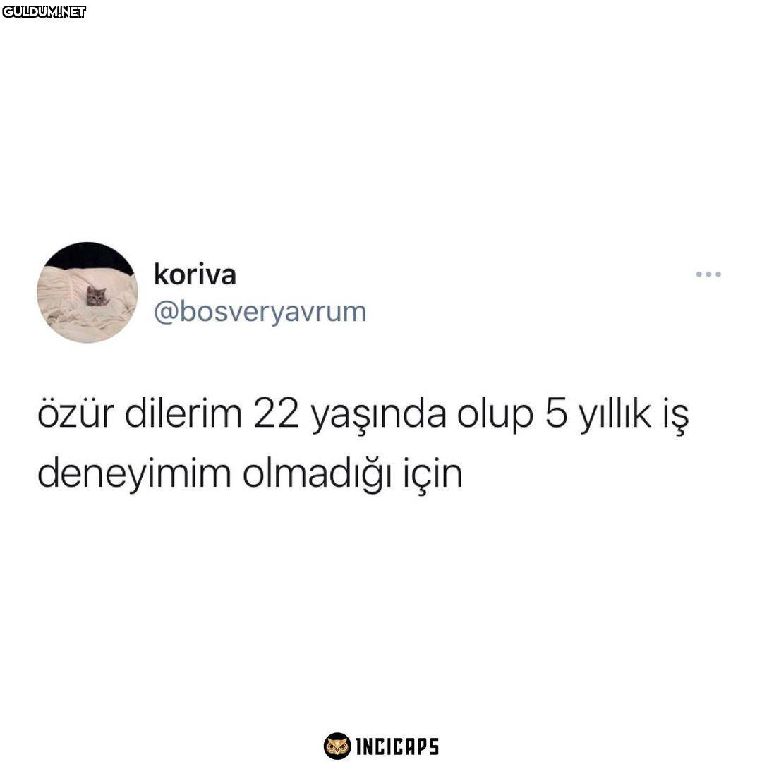 koriva ... @bosveryavrum...