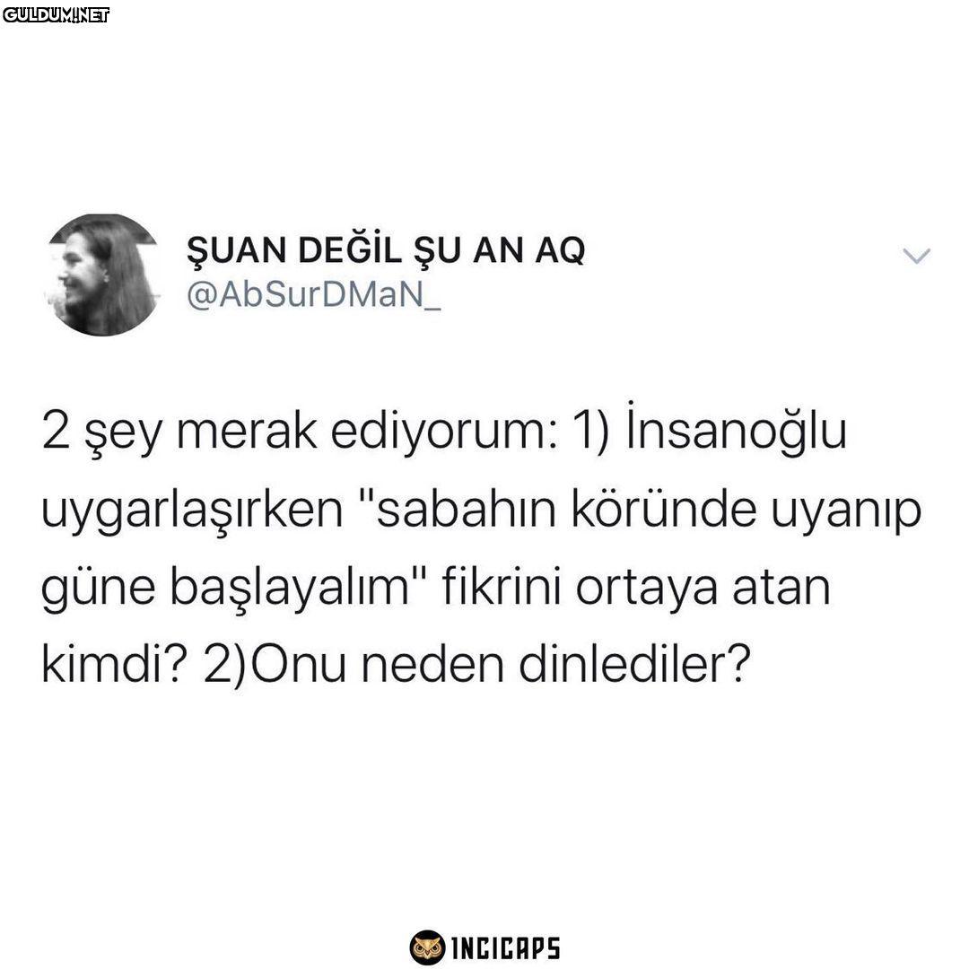 ŞUAN DEĞİL ŞU AN AQ...