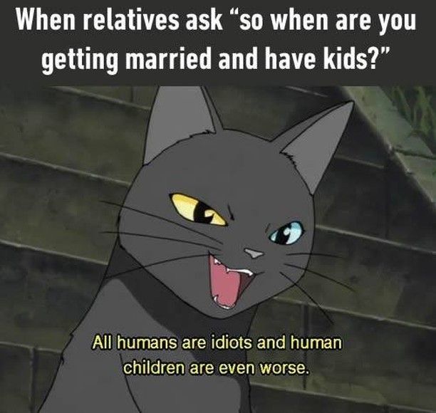 The first question...