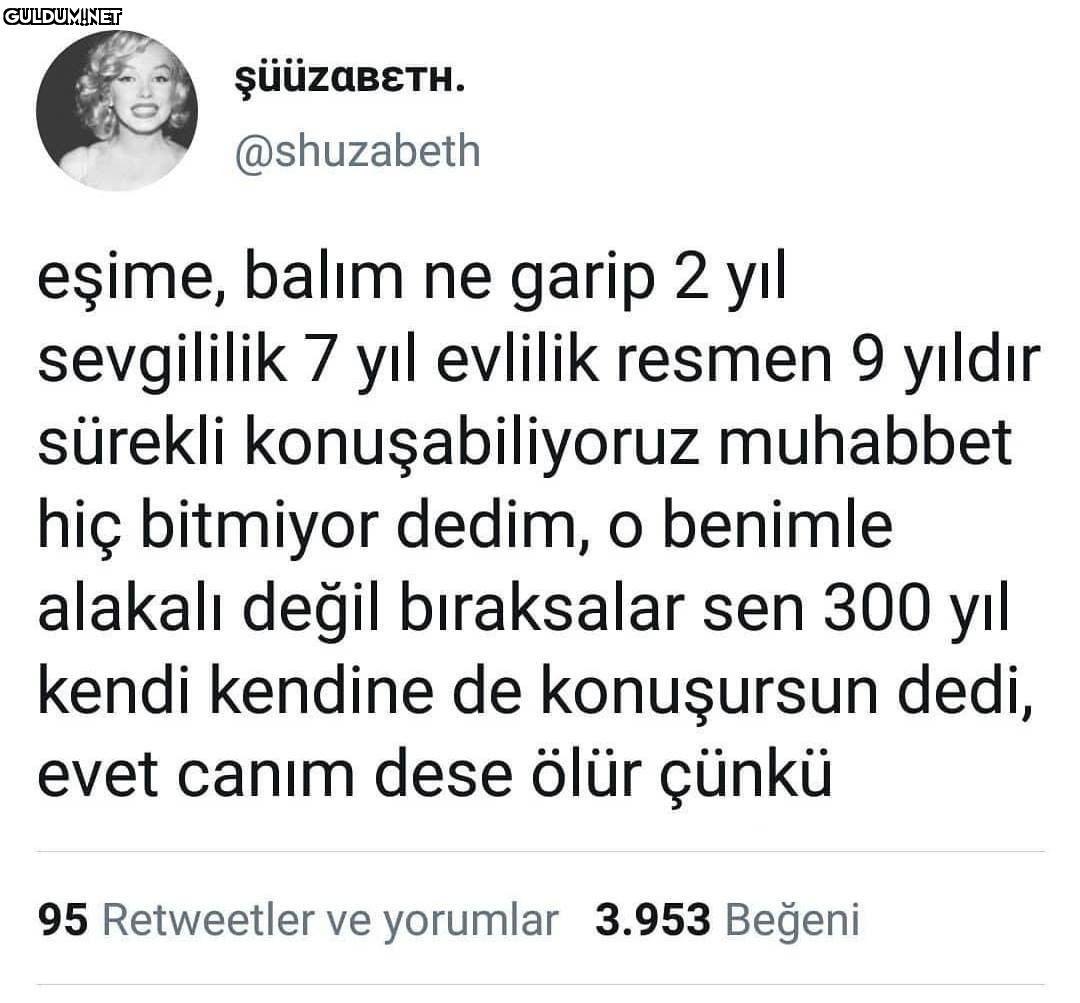 şüüzaBETH. @shuzabeth...