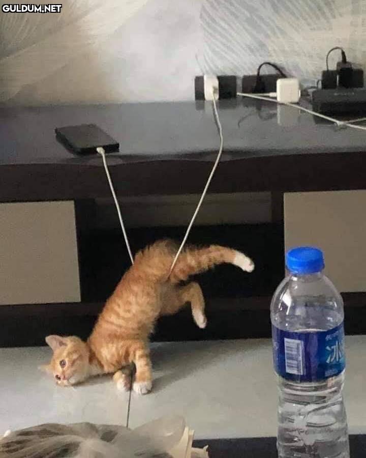 anlamsız fotoğraflar 1239 ...