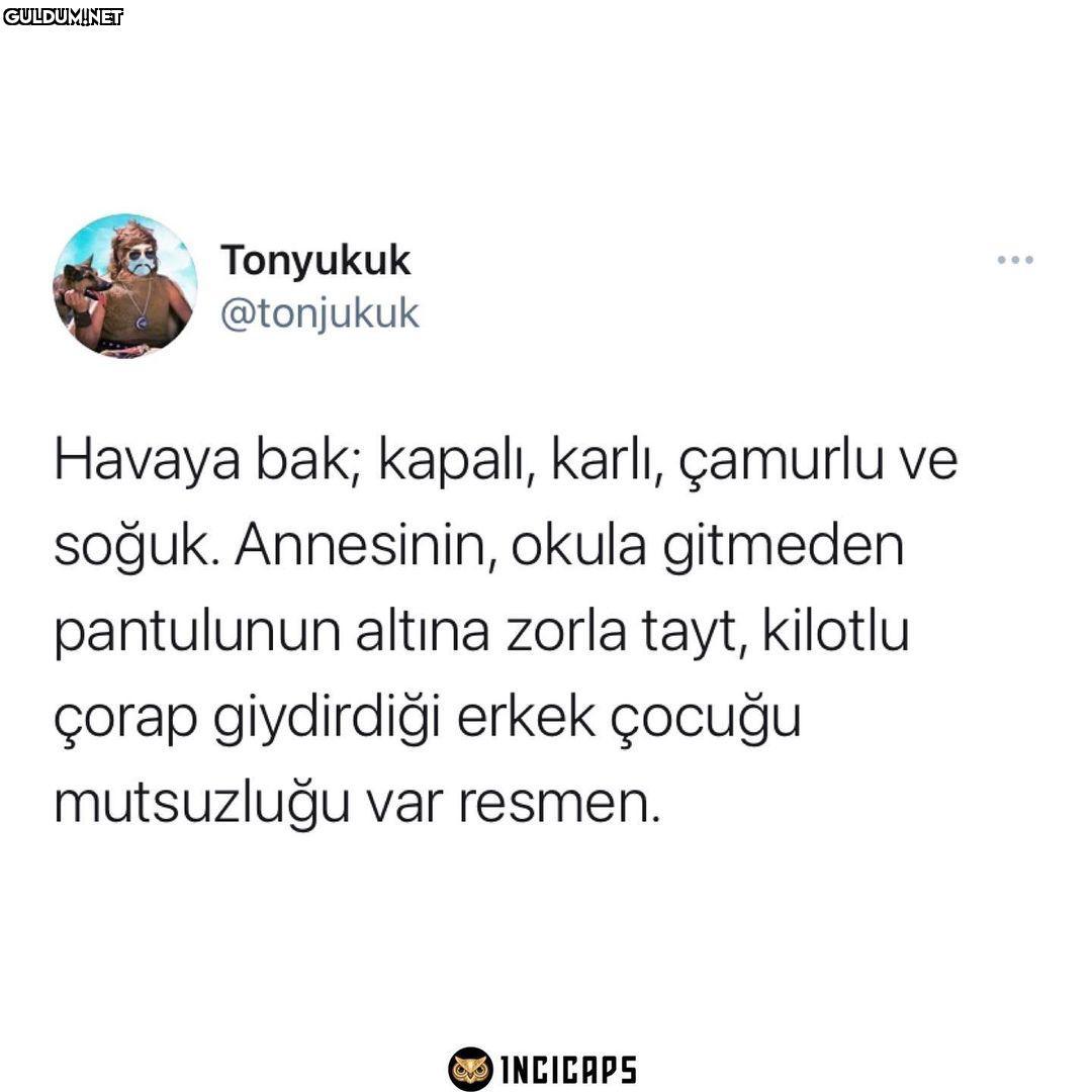 Tonyukuk @tonjukuk ......
