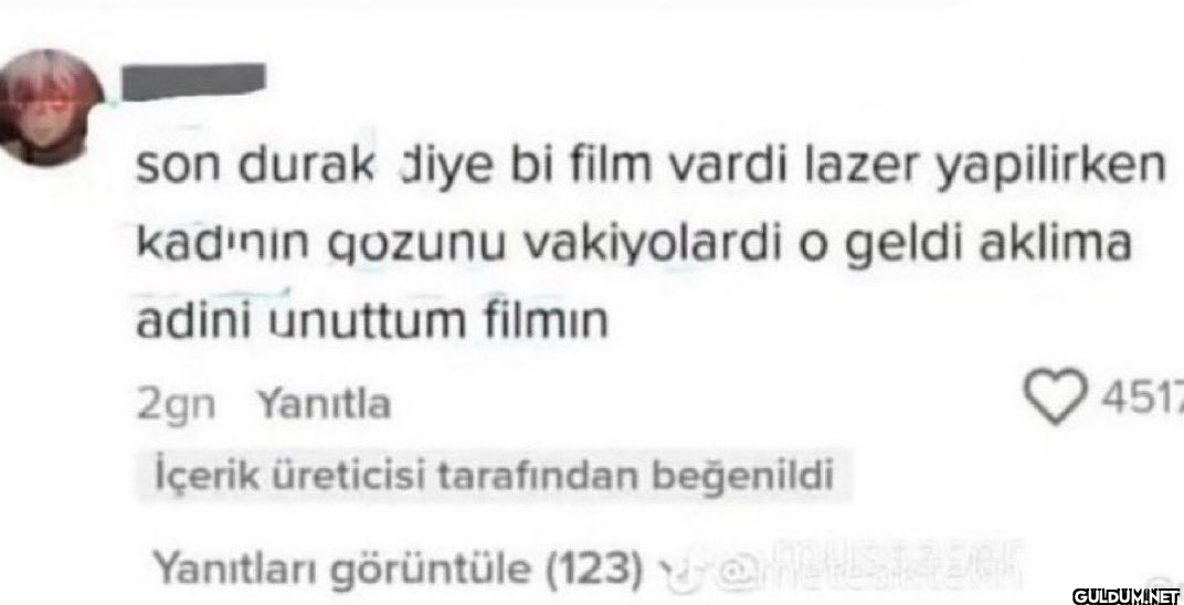 son durak diye bi film...