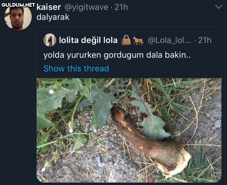 https://t.co/fCGEQq9MKS ...