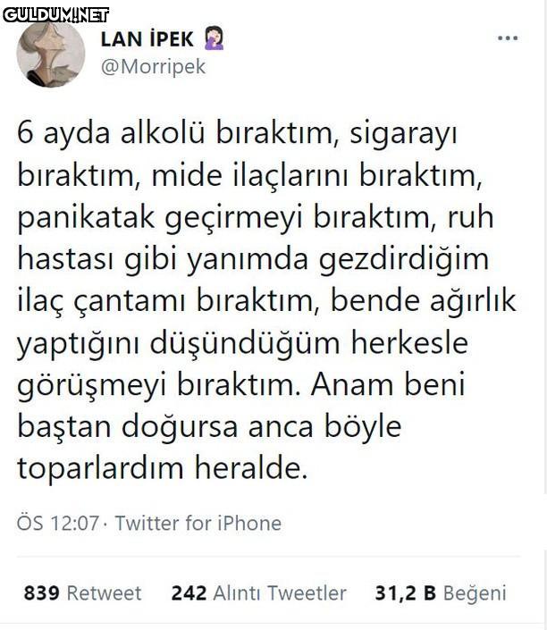 LAN İPEK @Morripek 6 ayda...