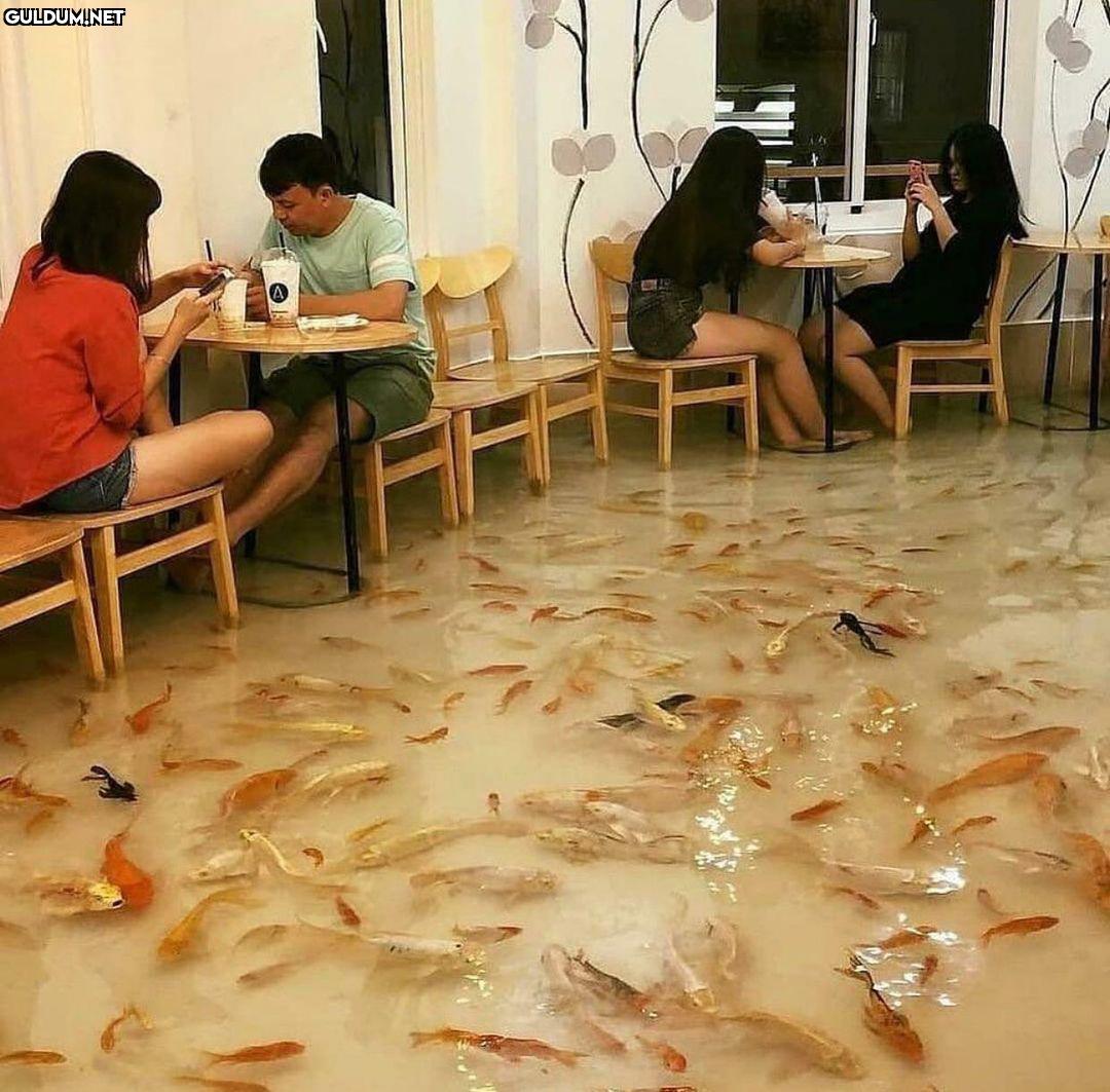 anlamsız fotoğraflar 455  Kaynak