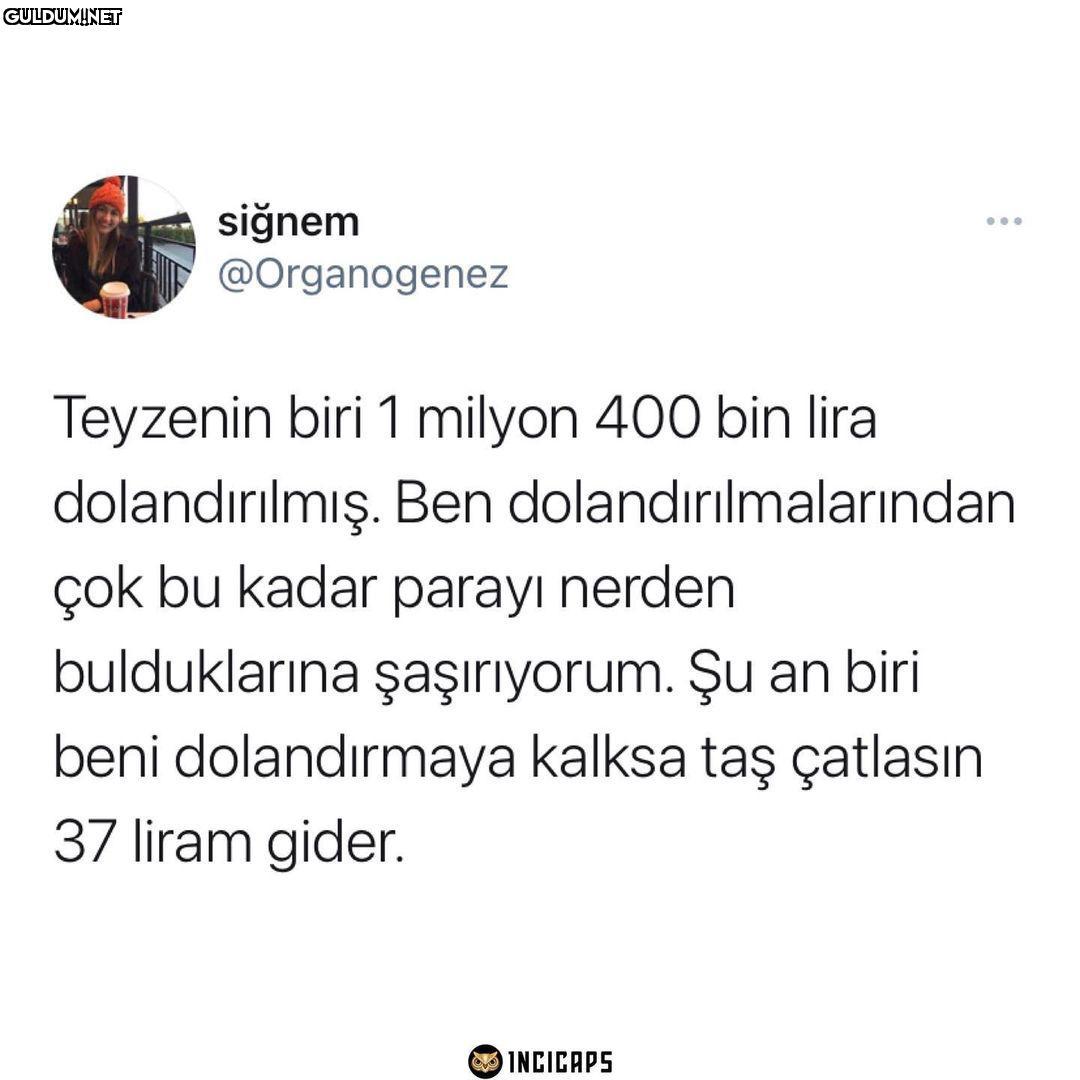 siğnem @Organogenez...