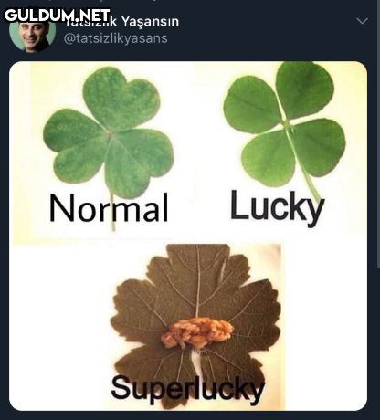 https://t.co/NNJPbi2TlF ...