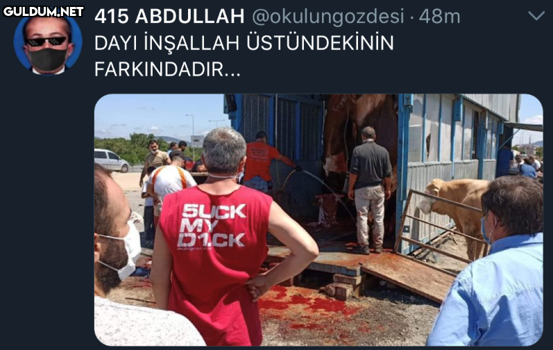 https://t.co/9tK77n3OYc ...