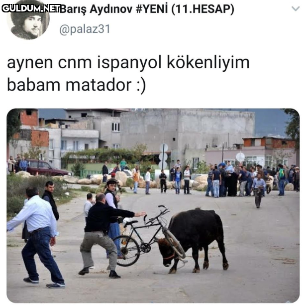 https://t.co/QyfT1xzWlA ...
