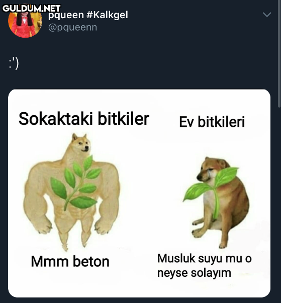 Popular post