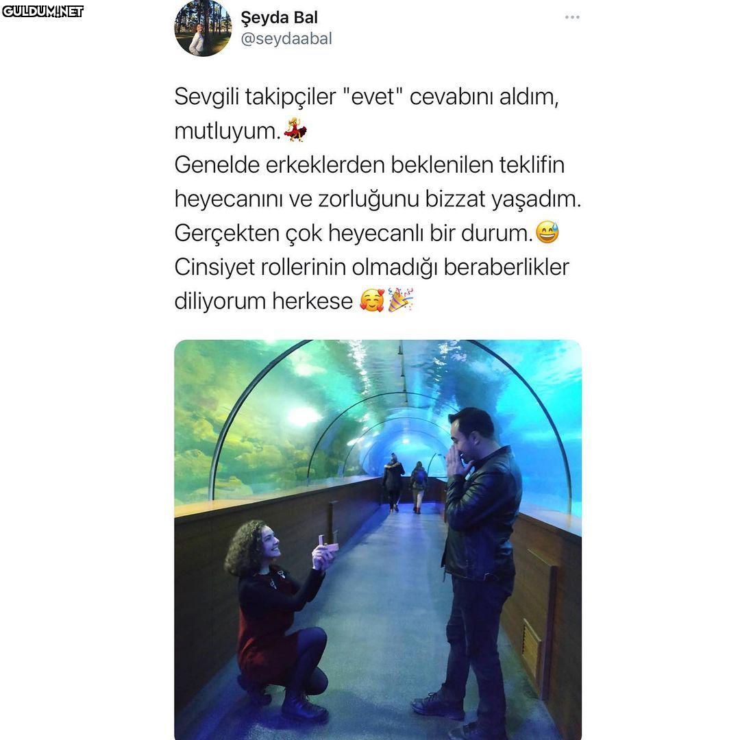 Şeyda Bal @seydaabal...