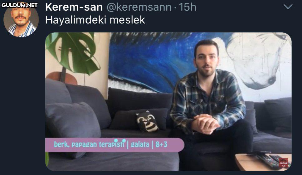 https://t.co/t6SmDjUanQ ...