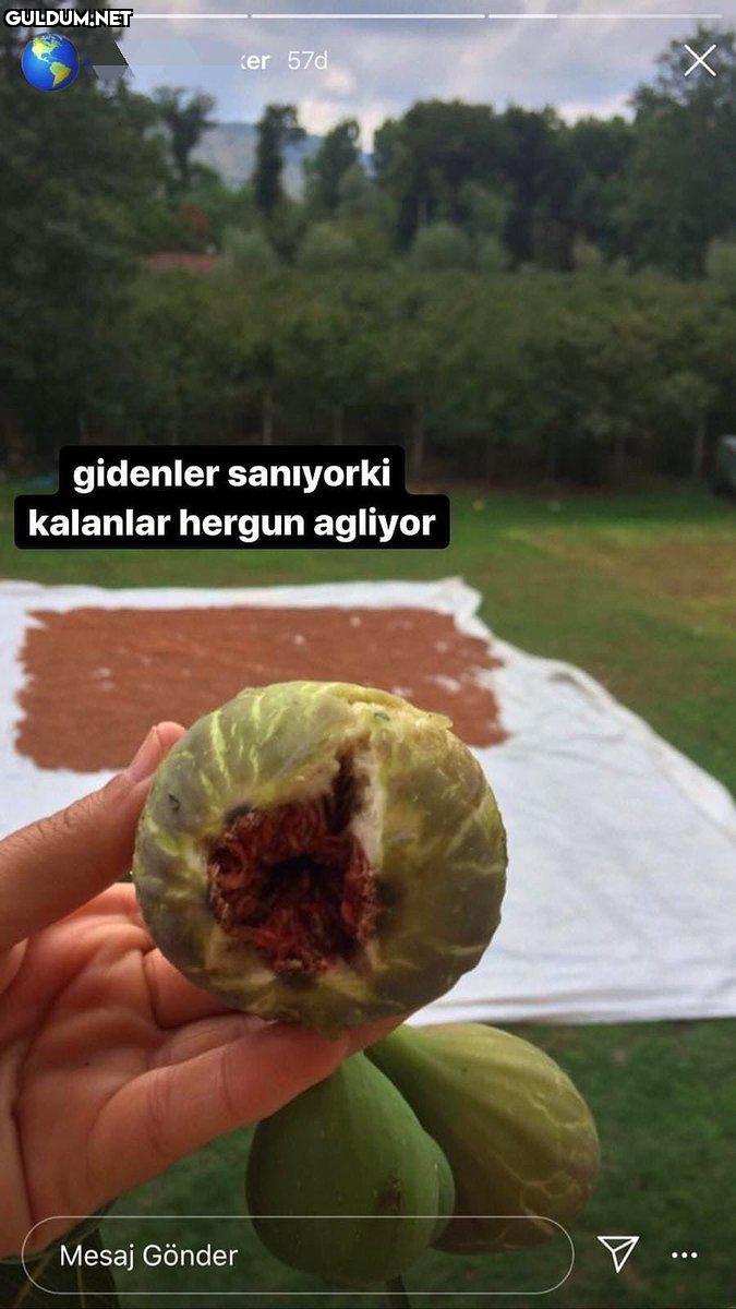 RT @NealakaAq1:...