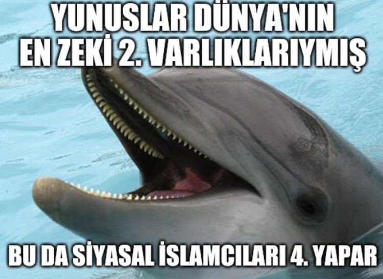 https://t.co/dsfpKNFpke ...