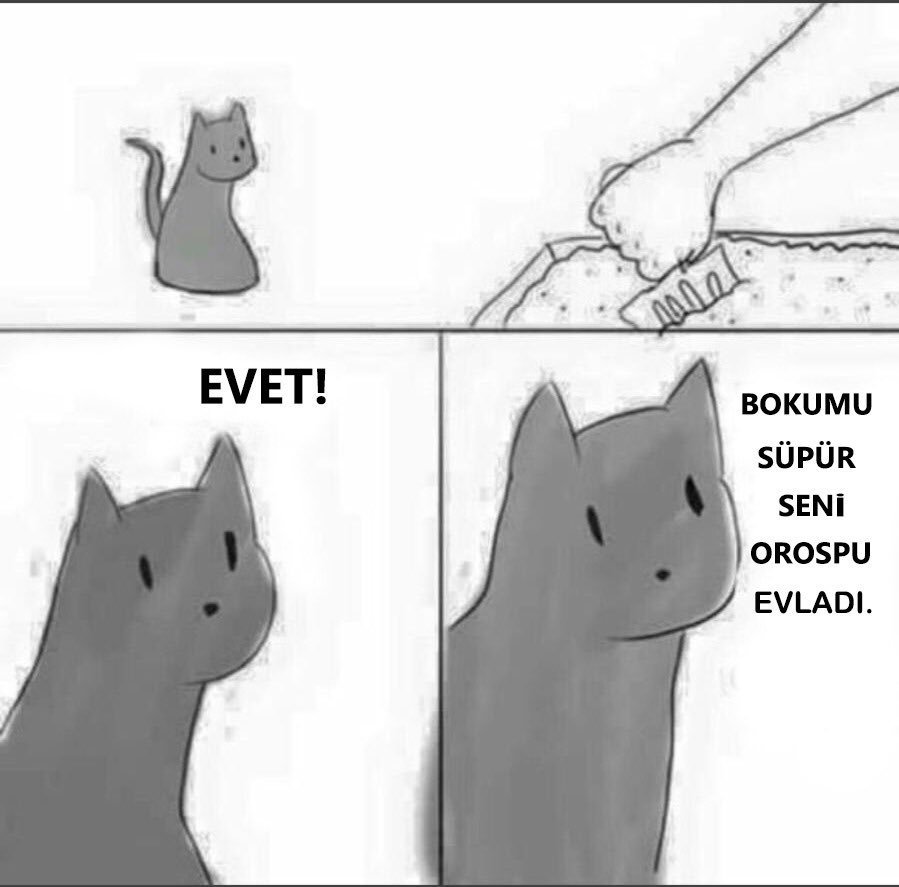 https://t.co/USAUMi5T2y ...