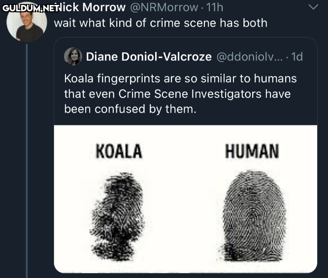 https://t.co/6dbYzjrJnh ...