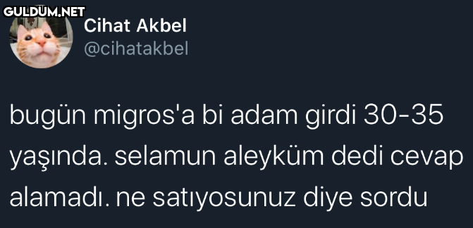 https://t.co/guafCeqYAT ...