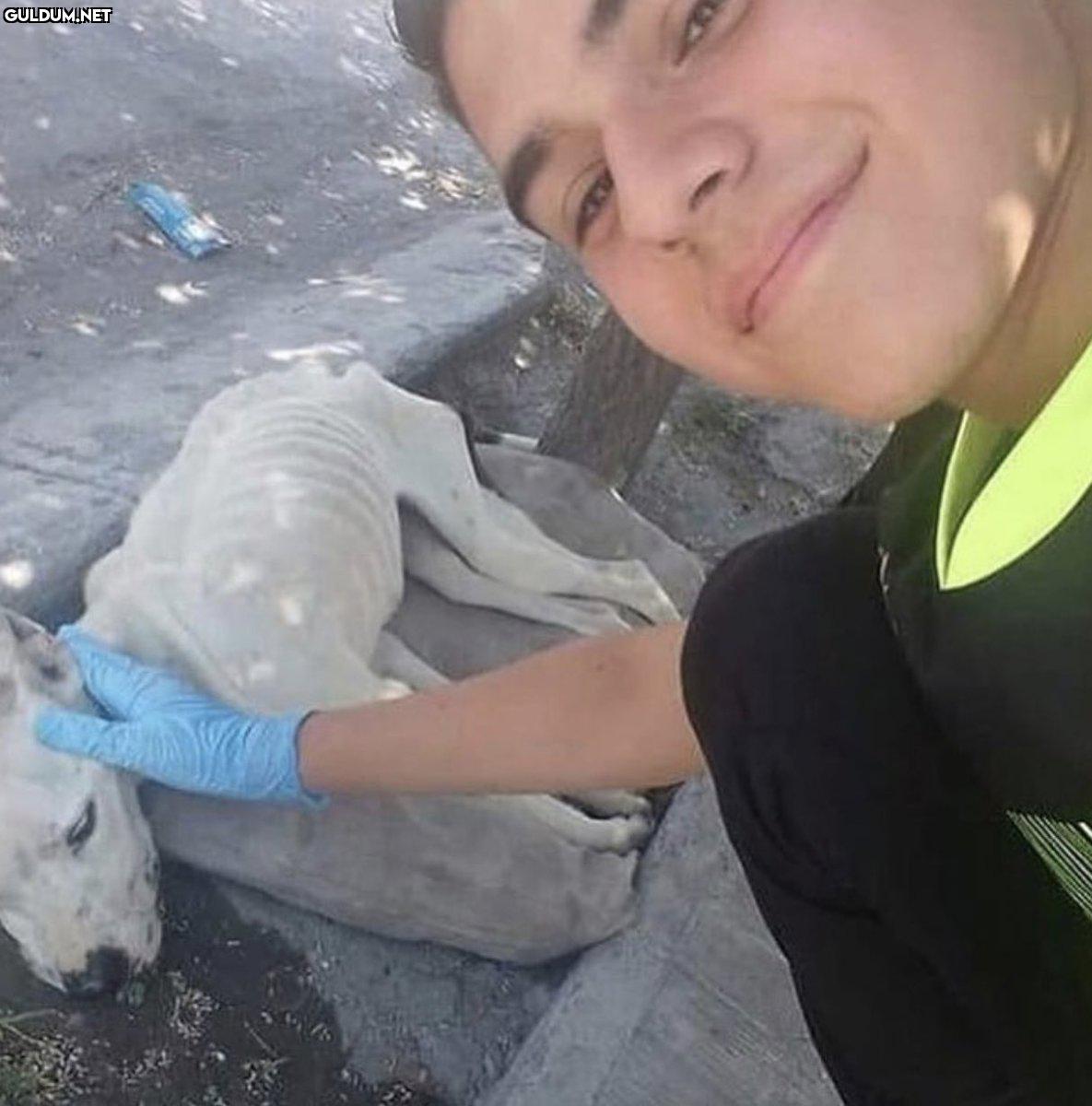 RT @AyaktaAlkis: Çok güzel...