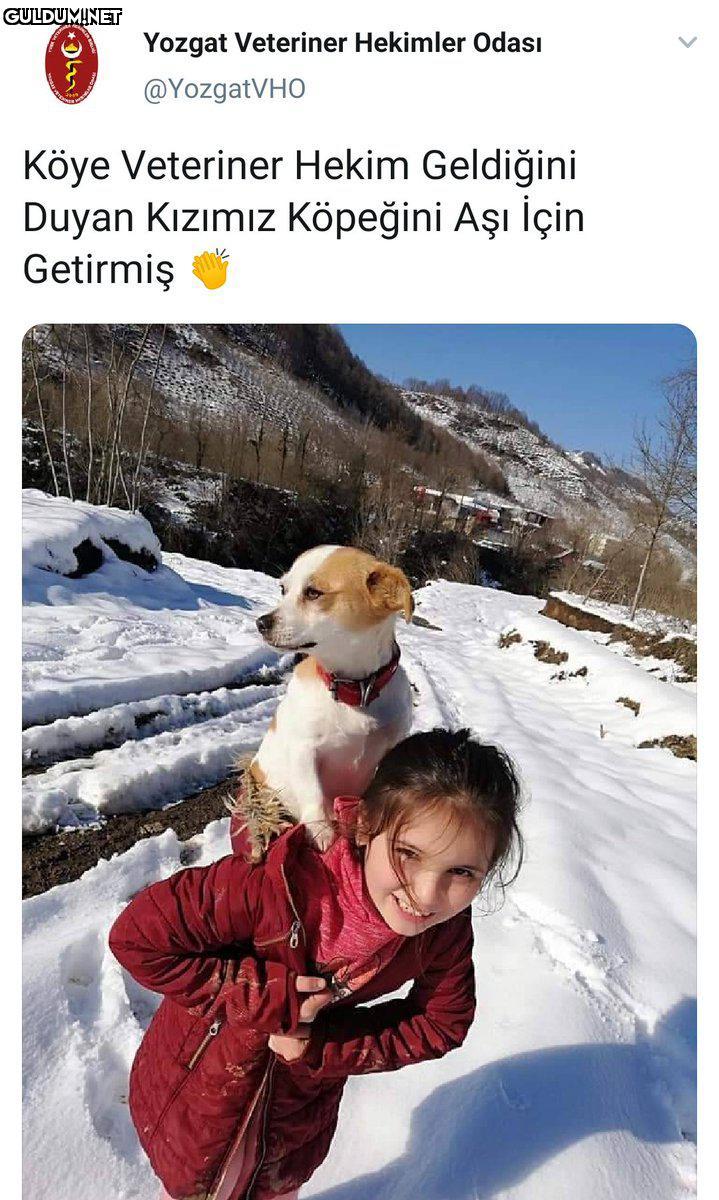 RT @AyaktaAlkis:...