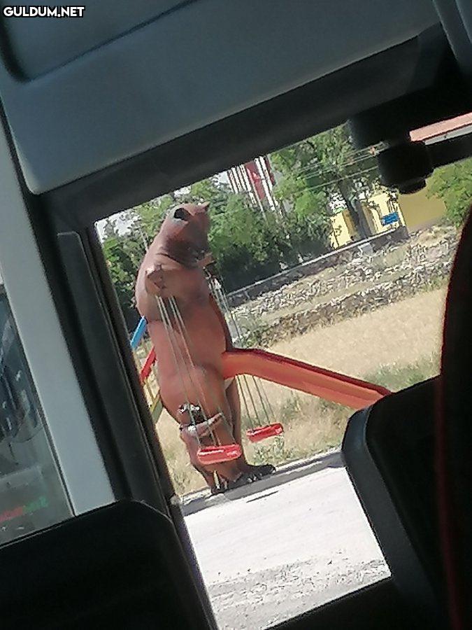 RT @mimarifacialar: Konum...