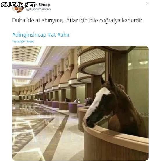 RT @kaderdircografy:...