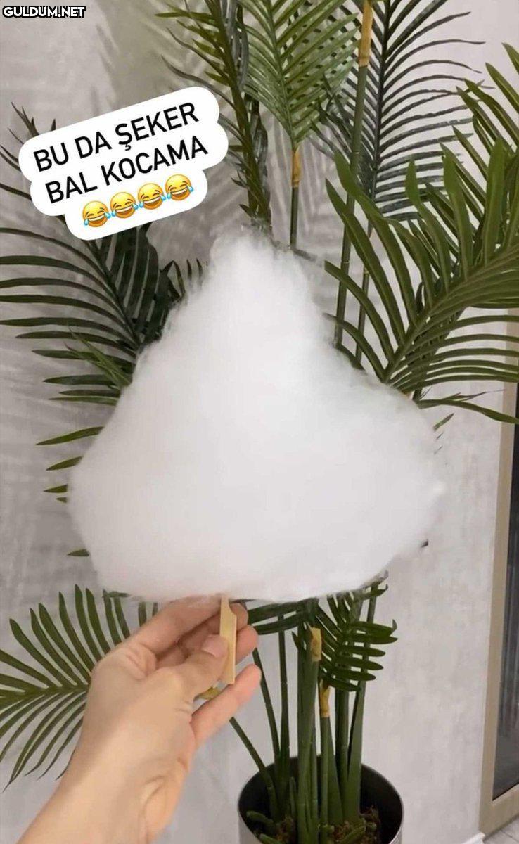 https://t.co/55YYhjL8F5 ...