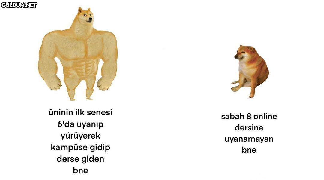üninin ilk senesi sabah 8...