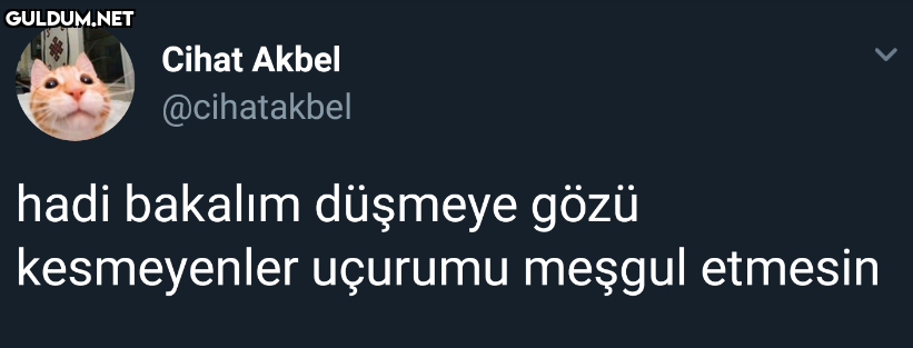https://t.co/Q2mCHU0Juu ...
