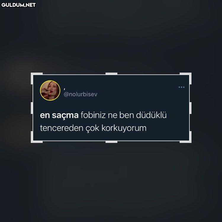 Duran kamyonların...