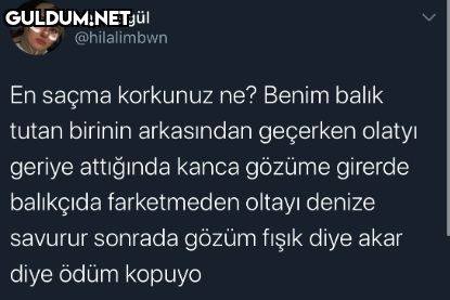 https://t.co/zXJVjTxULL ...