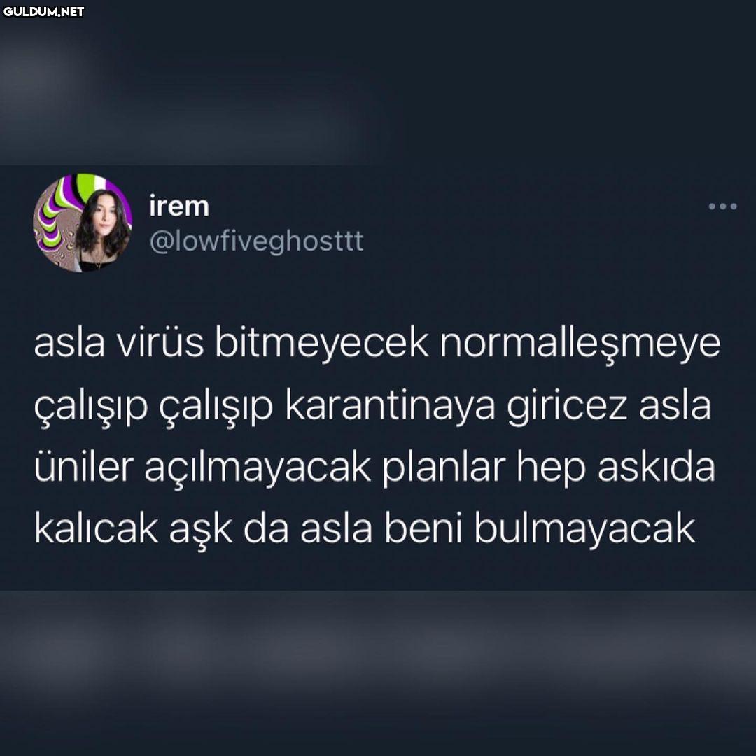 Sizce bu virüs bitecek mi?...