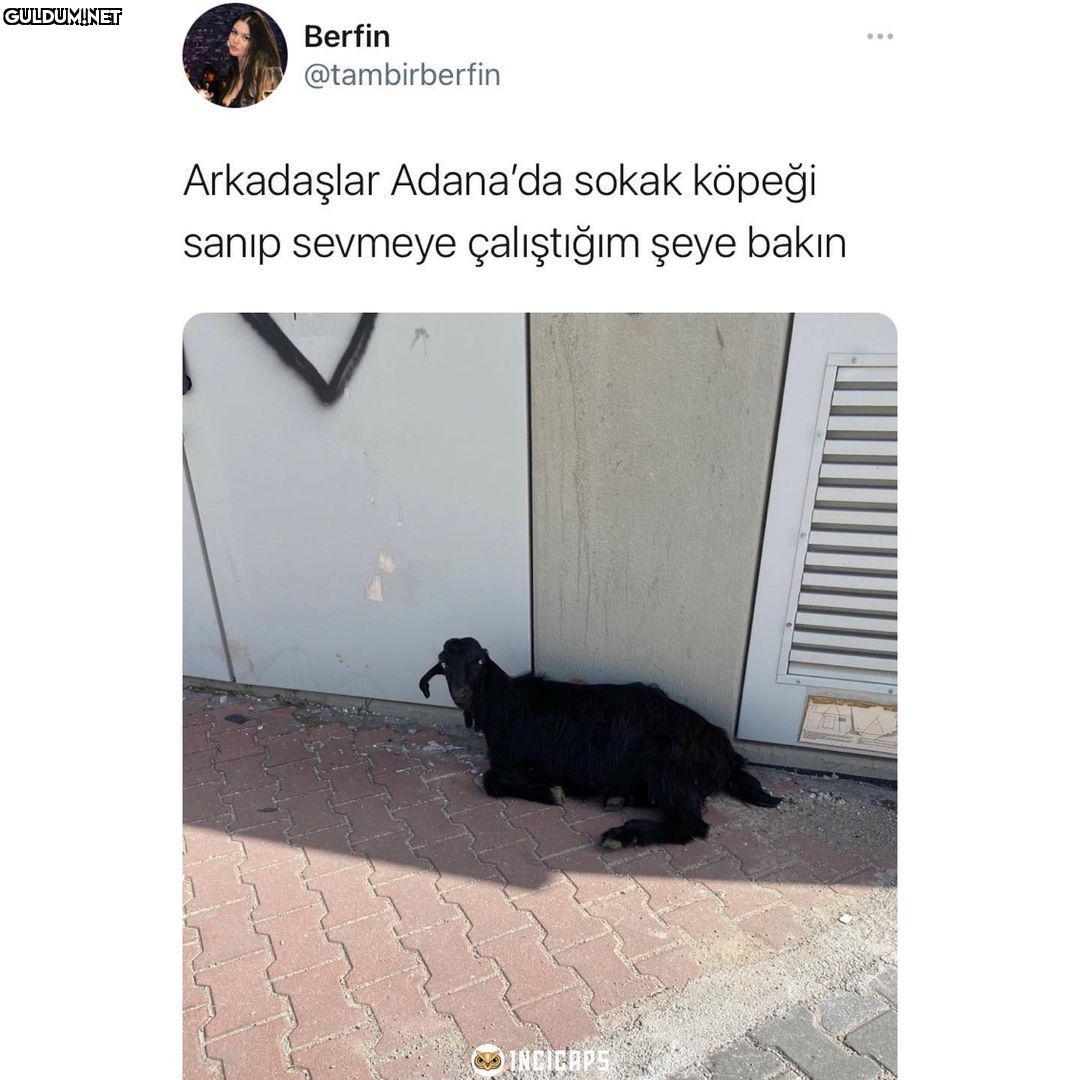 Berfin @tambirberfin...