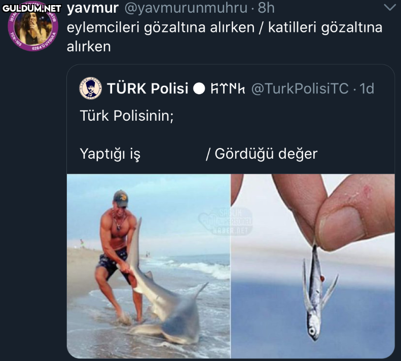 https://t.co/JMSv0xvR7f ...