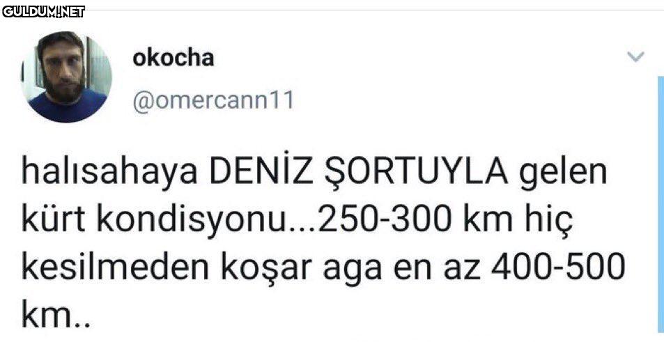 RT @mevzukurtlere1:...