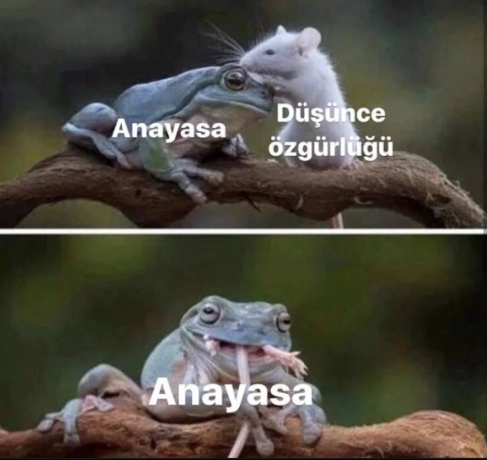 https://t.co/uKTYvihdyL ...