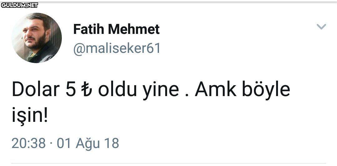 Bir dolar hikayesi...